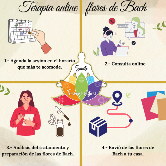 Terapia de Flores de Bach - Online